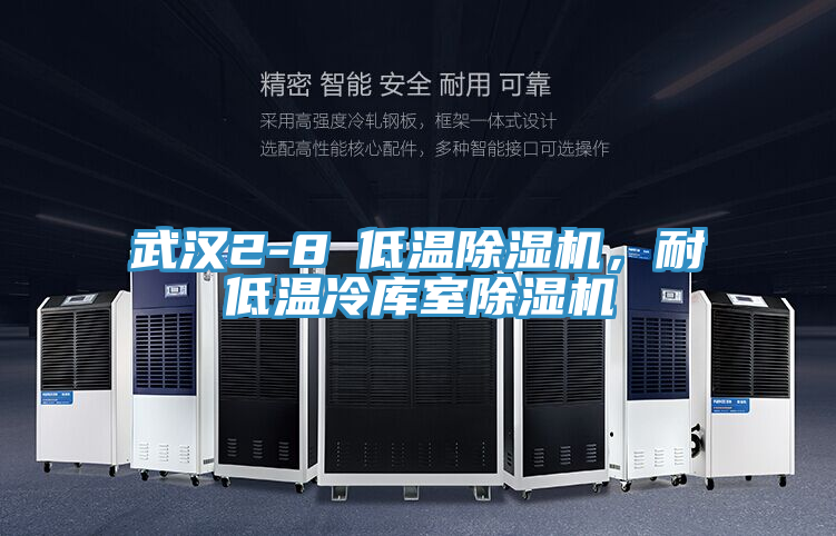 武漢2-8℃低溫除濕機(jī)，耐低溫冷庫(kù)室除濕機(jī)