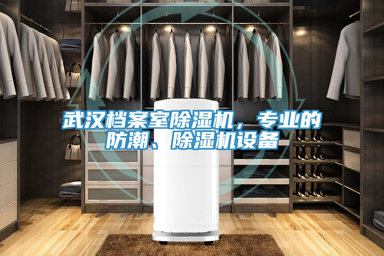 武漢檔案室除濕機(jī)，專(zhuān)業(yè)的防潮、除濕機(jī)設(shè)備