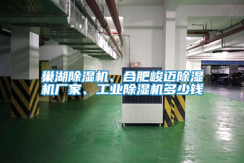 巢湖除濕機(jī)、合肥峻邁除濕機(jī)廠家、工業(yè)除濕機(jī)多少錢(qián)