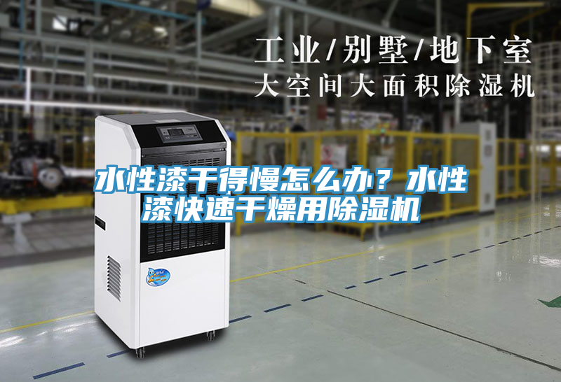 水性漆干得慢怎么辦？水性漆快速干燥用除濕機