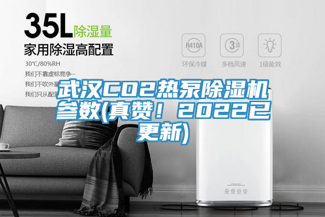 武漢CO2熱泵除濕機(jī)參數(shù)(真贊！2022已更新)