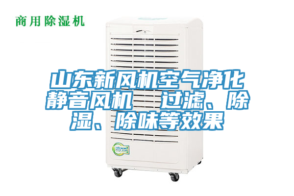 山東新風(fēng)機(jī)空氣凈化靜音風(fēng)機(jī)  過濾、除濕、除味等效果