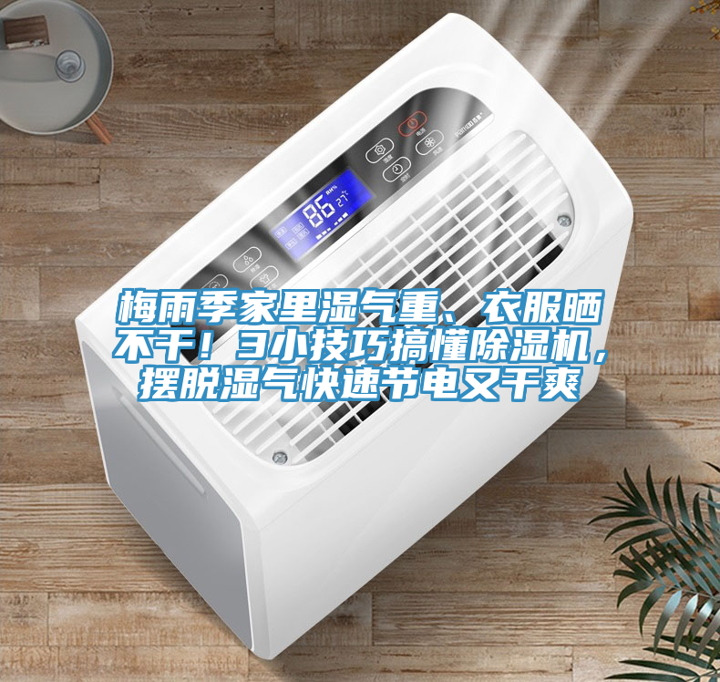 梅雨季家里濕氣重、衣服曬不干！3小技巧搞懂除濕機(jī)，擺脫濕氣快速節(jié)電又干爽