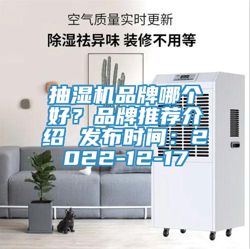 抽濕機品牌哪個好？品牌推薦介紹 發(fā)布時間：2022-12-17