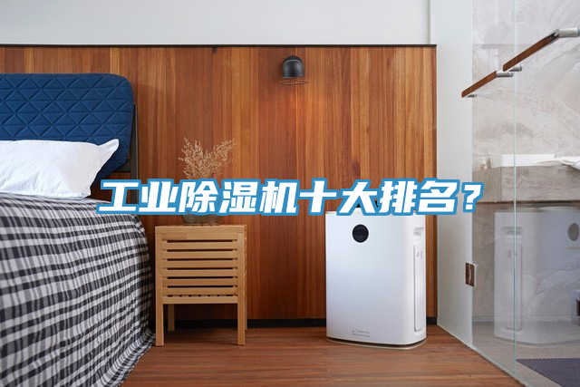 工業(yè)除濕機十大排名？