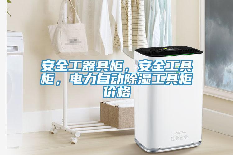 安全工器具柜，安全工具柜，電力自動除濕工具柜價格