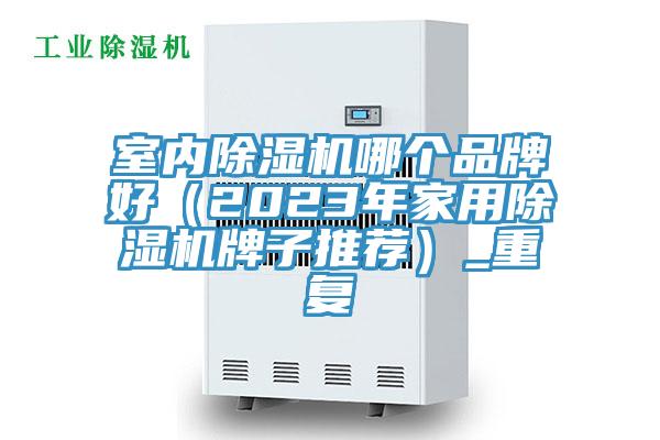 室內(nèi)除濕機(jī)哪個品牌好（2023年家用除濕機(jī)牌子推薦）_重復(fù)