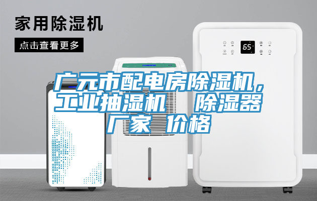 廣元市配電房除濕機(jī)，工業(yè)抽濕機(jī)  除濕器廠家 價格
