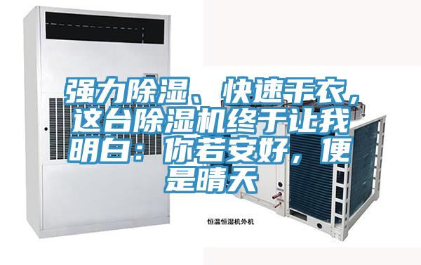 強(qiáng)力除濕、快速干衣，這臺(tái)除濕機(jī)終于讓我明白：你若安好，便是晴天