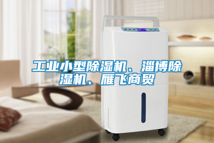 工業(yè)小型除濕機、淄博除濕機、雁飛商貿(mào)