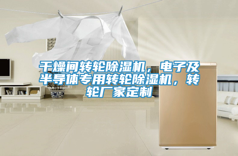 干燥間轉輪除濕機，電子及半導體專用轉輪除濕機，轉輪廠家定制