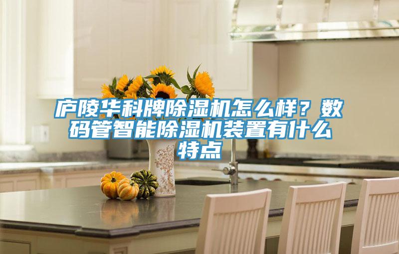廬陵華科牌除濕機(jī)怎么樣？數(shù)碼管智能除濕機(jī)裝置有什么特點