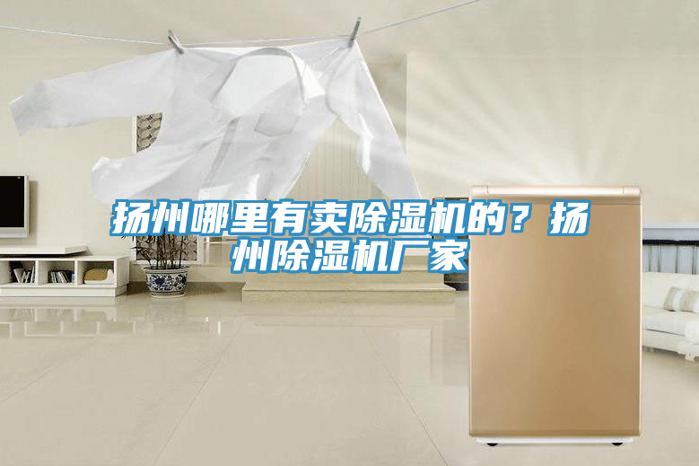 揚(yáng)州哪里有賣除濕機(jī)的？揚(yáng)州除濕機(jī)廠家