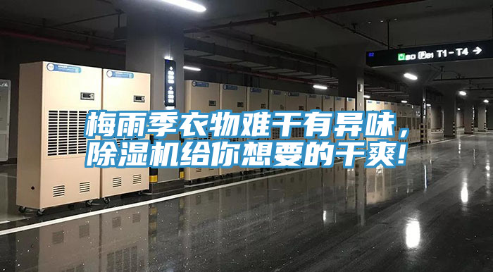 梅雨季衣物難干有異味，除濕機(jī)給你想要的干爽!