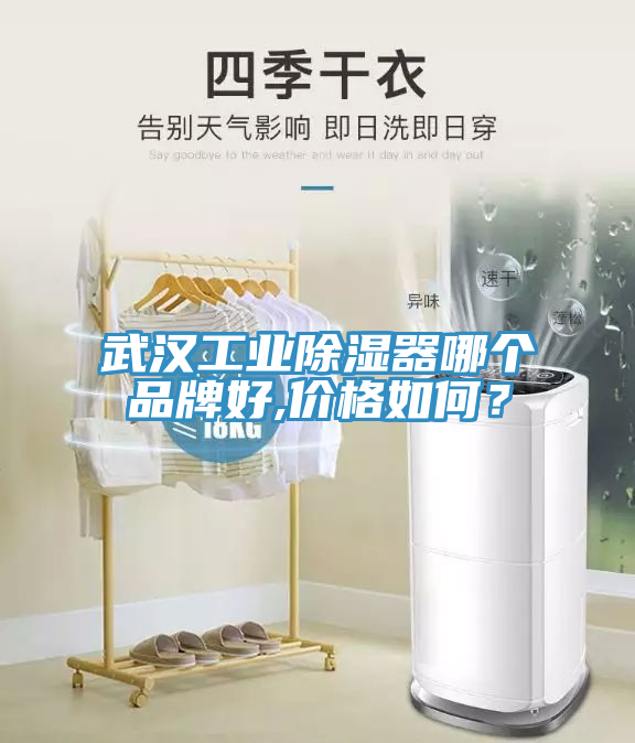武漢工業(yè)除濕器哪個(gè)品牌好,價(jià)格如何？