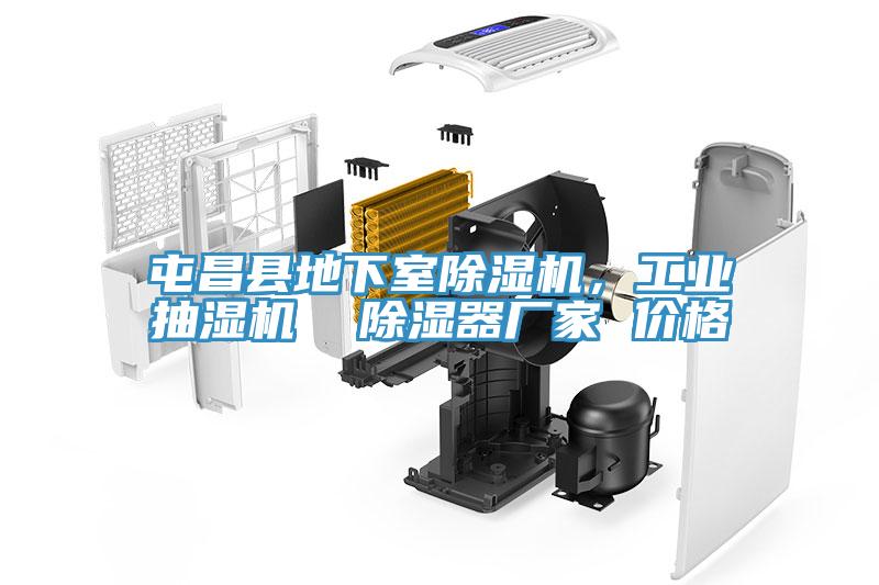 屯昌縣地下室除濕機(jī)，工業(yè)抽濕機(jī)  除濕器廠家 價(jià)格