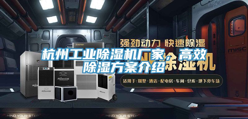 杭州工業(yè)除濕機(jī)廠家，高效除濕方案介紹