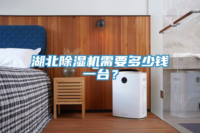 湖北除濕機需要多少錢一臺？
