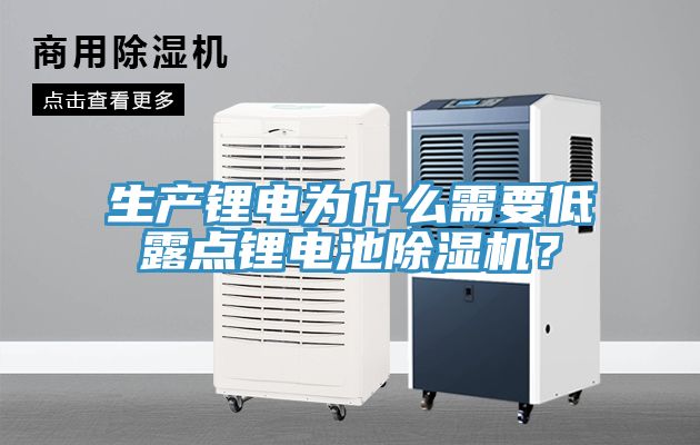 生產(chǎn)鋰電為什么需要低露點鋰電池除濕機？