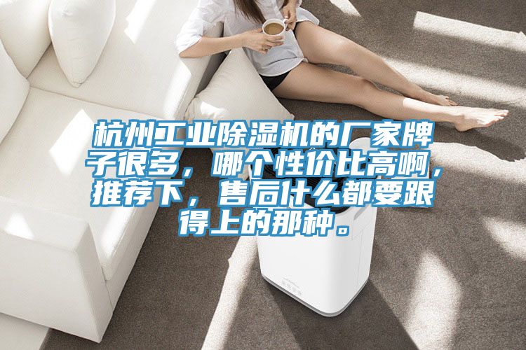 杭州工業(yè)除濕機(jī)的廠家牌子很多，哪個(gè)性價(jià)比高啊，推薦下，售后什么都要跟得上的那種。
