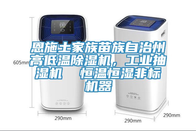 恩施土家族苗族自治州高低溫除濕機(jī)，工業(yè)抽濕機(jī)  恒溫恒濕非標(biāo)機(jī)器