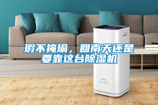 瑕不掩瑜，回南天還是要靠這臺(tái)除濕機(jī)