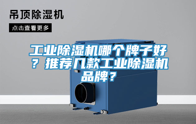 工業(yè)除濕機(jī)哪個(gè)牌子好？推薦幾款工業(yè)除濕機(jī)品牌？
