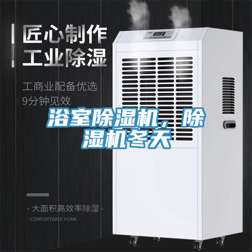 浴室除濕機，除濕機冬天