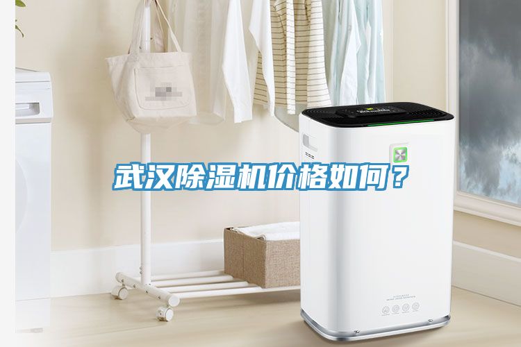 武漢除濕機(jī)價(jià)格如何？