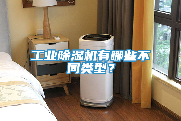 工業(yè)除濕機(jī)有哪些不同類型？