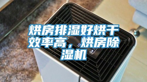 烘房排濕好烘干效率高，烘房除濕機(jī)