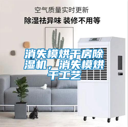 消失模烘干房除濕機(jī)，消失模烘干工藝