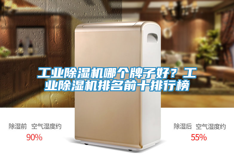 工業(yè)除濕機(jī)哪個(gè)牌子好？工業(yè)除濕機(jī)排名前十排行榜
