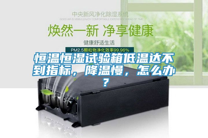 恒溫恒濕試驗箱低溫達不到指標，降溫慢，怎么辦？