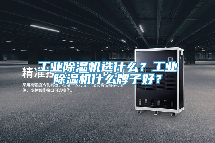 工業(yè)除濕機選什么？工業(yè)除濕機什么牌子好？