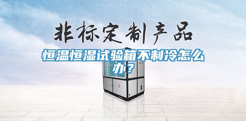 恒溫恒濕試驗(yàn)箱不制冷怎么辦？