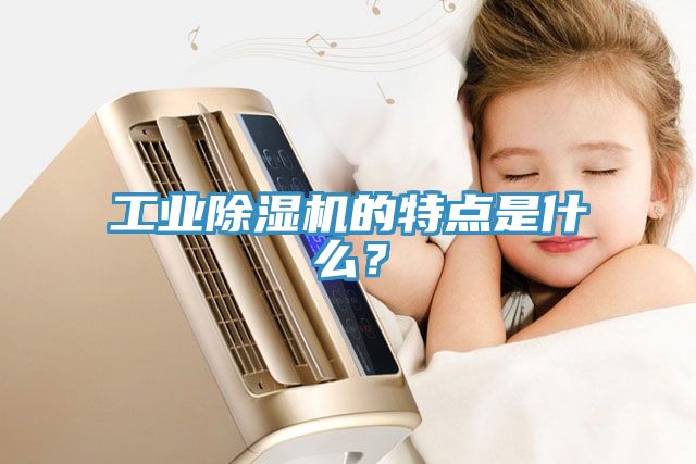 工業(yè)除濕機的特點是什么？