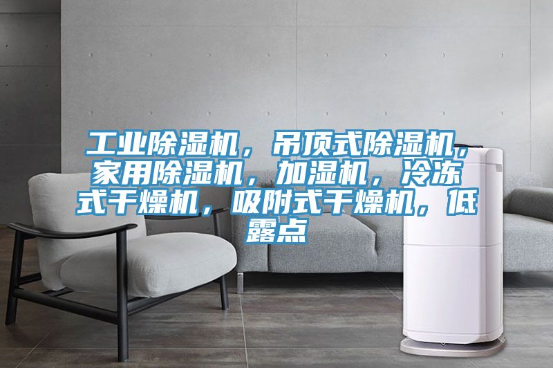 工業(yè)除濕機(jī)，吊頂式除濕機(jī)，家用除濕機(jī)，加濕機(jī)，冷凍式干燥機(jī)，吸附式干燥機(jī)，低露點(diǎn)
