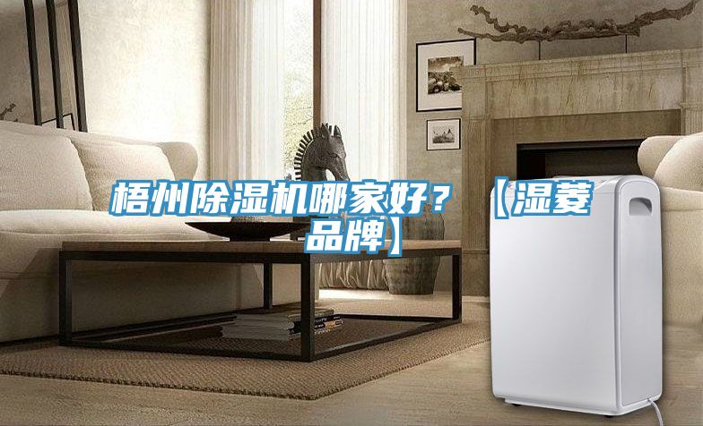 梧州除濕機(jī)哪家好？【濕菱品牌】