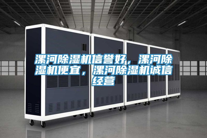 漯河除濕機(jī)信譽(yù)好，漯河除濕機(jī)便宜，漯河除濕機(jī)誠(chéng)信經(jīng)營(yíng)