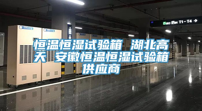 恒溫恒濕試驗箱 湖北高天 安徽恒溫恒濕試驗箱供應(yīng)商