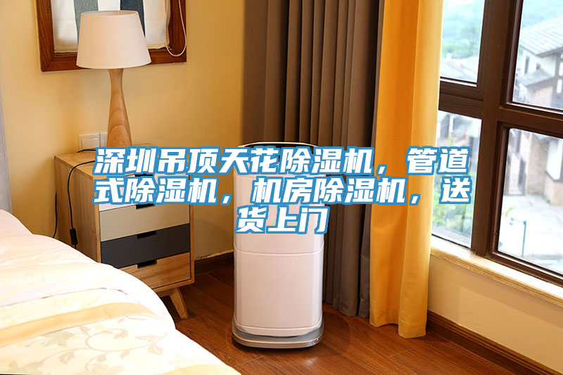 深圳吊頂天花除濕機(jī)，管道式除濕機(jī)，機(jī)房除濕機(jī)，送貨上門