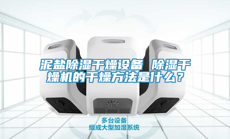 泥鹽除濕干燥設(shè)備 除濕干燥機(jī)的干燥方法是什么？