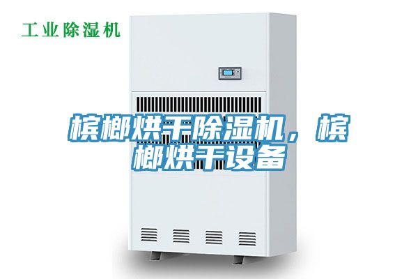 檳榔烘干除濕機(jī)，檳榔烘干設(shè)備