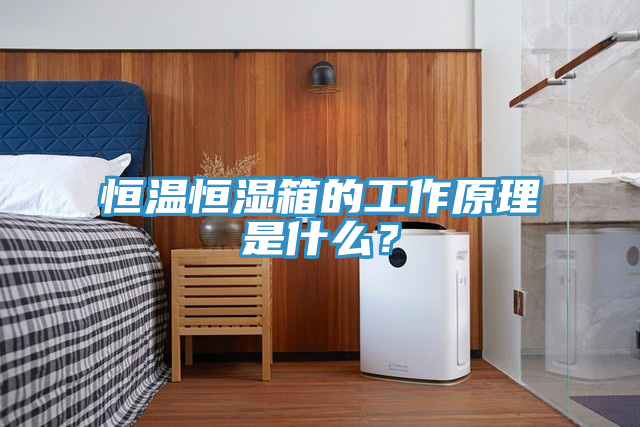 恒溫恒濕箱的工作原理是什么？