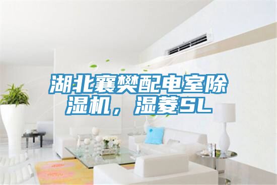 湖北襄樊配電室除濕機，濕菱SL