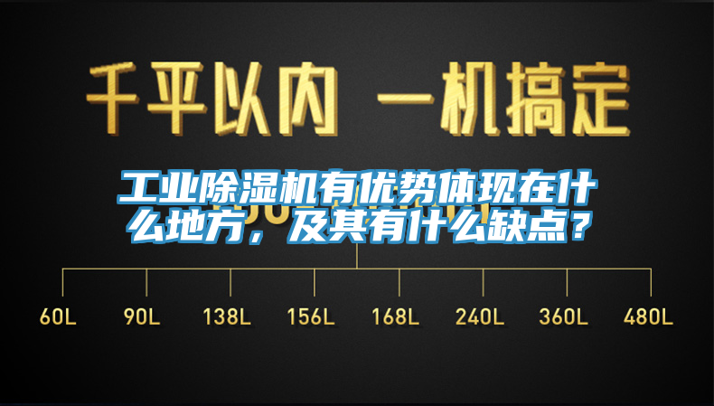 工業(yè)除濕機(jī)有優(yōu)勢體現(xiàn)在什么地方，及其有什么缺點(diǎn)？