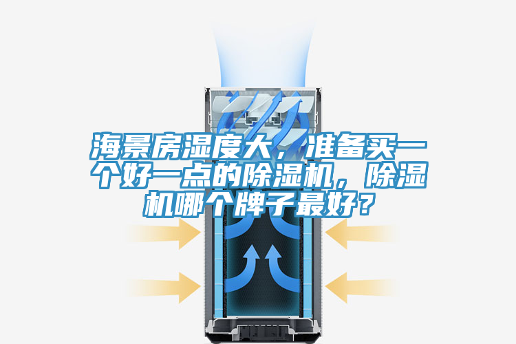 海景房濕度大，準(zhǔn)備買一個(gè)好一點(diǎn)的除濕機(jī)，除濕機(jī)哪個(gè)牌子最好？