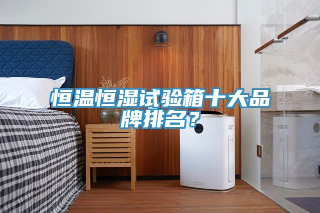 恒溫恒濕試驗(yàn)箱十大品牌排名？