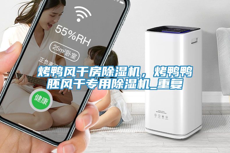 烤鴨風(fēng)干房除濕機，烤鴨鴨胚風(fēng)干專用除濕機_重復(fù)